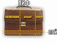Вложить деньги в ПИФ - риск или выгода Вложить деньги в ПИФ - риск или выгода